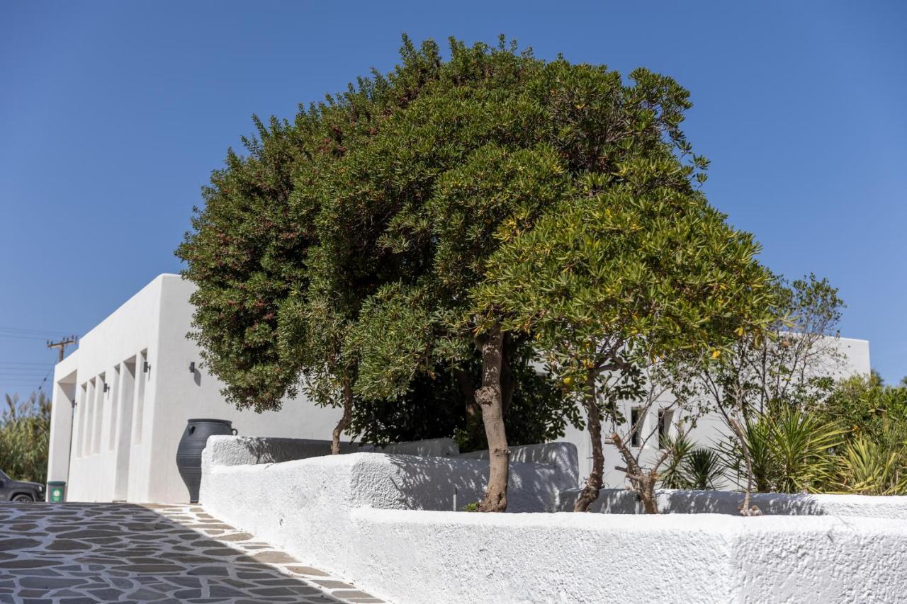 Naxos Village Naxos City Exterior foto
